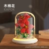 Kapok 640 granules+base lights
