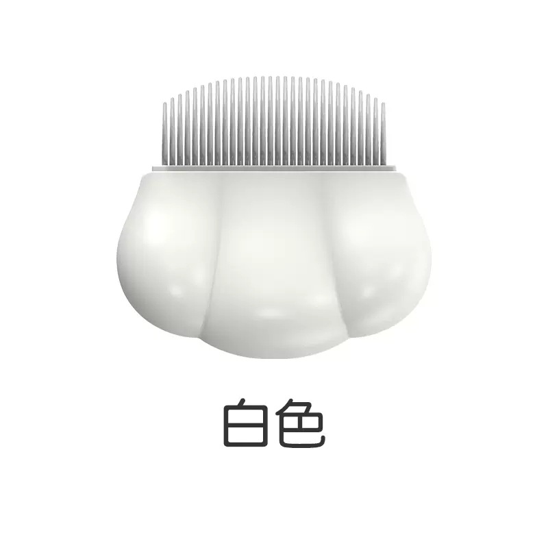 화이트