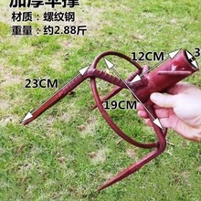 ز~̫ꖂǓ΂_ز[~΂ӹ֧܂ز