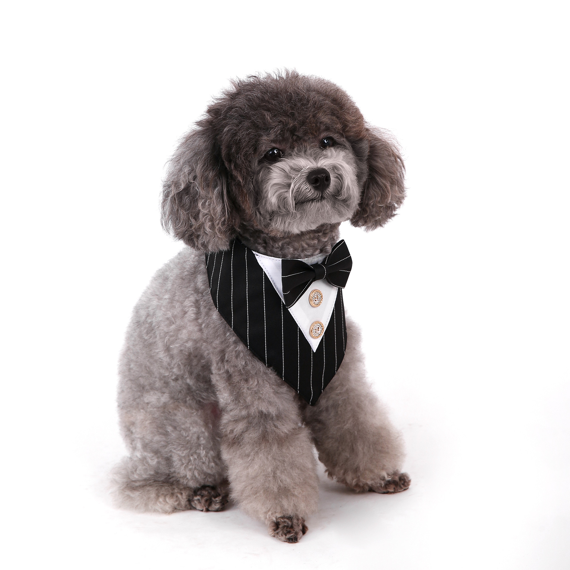 Navidad Año Nuevo Spot transfronterizo boda británica trajes toallas para mascotas bufandas perros velcro toallas para mascotas triángulos