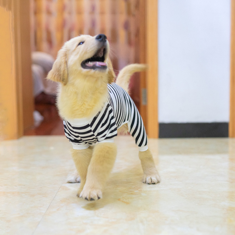 小中大型犬純綿四足縞家庭の毛落ち防止カバーラブラドール金毛テディ犬服|undefined