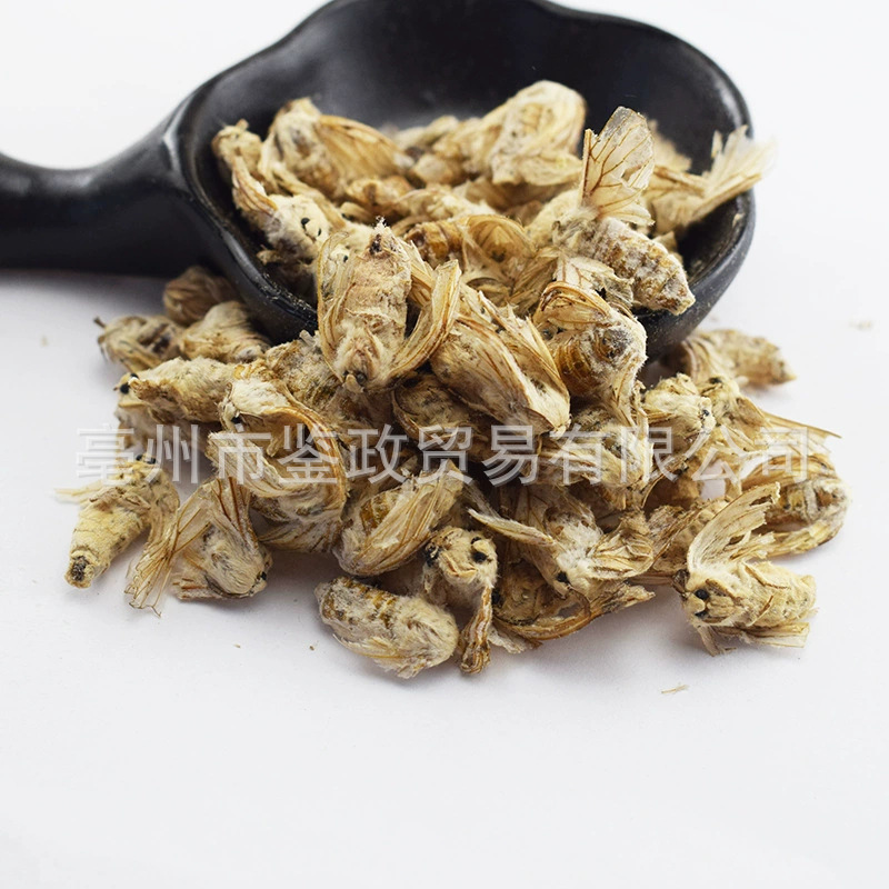 Dried Female Silkworm Moth Can Can E 500g Whole Insect Traditional Tonic Herb for Wine Infusion quality and texture