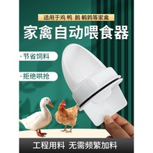 �Ԅ�ιʳ���uι�u�������u���ZͶʳ���B�u��������ʳ�ۼ����ˮ��