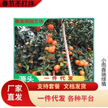 �޽ӟo��ɰ�ǽۘ����������۽۸��ٹ������ȫ�Ϸ��Nֲ����Y��