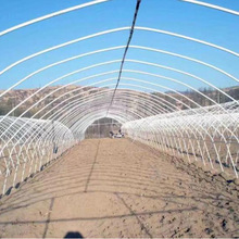 ���w�߲˷Nֲ���﹤�S�N�ۼӺ����\䓹܆��w�����T���b