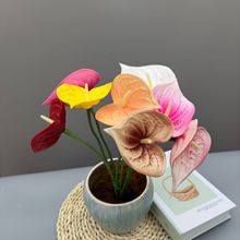 ����t�Ƹ߶�PU�ָн��ƼҾӶY���bGֲ��ˇ�쾰 ���l�ɻ�