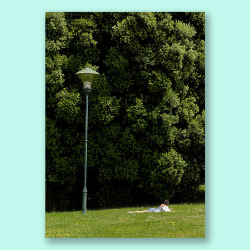 Green grass, small fresh green ins style, beautiful Nordic scenery, niche literary and artistic simple decorative painting