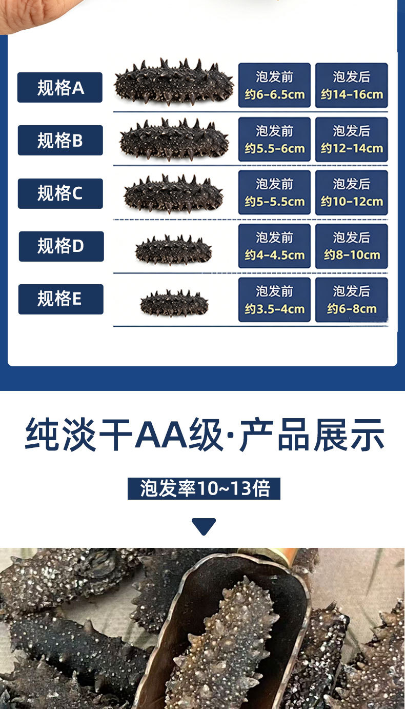 Dried Sea Cucumber Pure Lightly Dried Dalian Sea Cucumber Thick Flesh 50g quality and texture