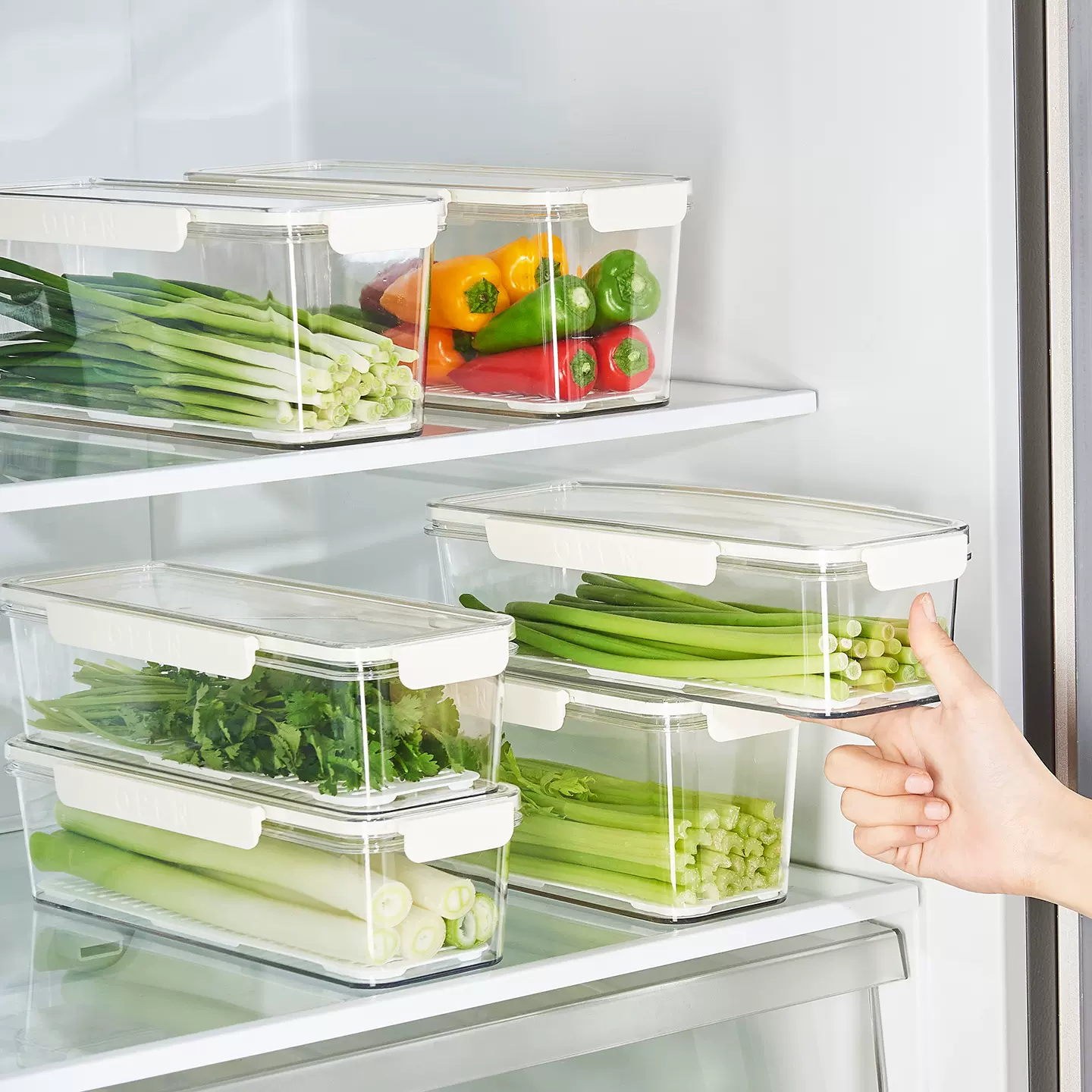 香菜盒小葱收纳盒冰箱整根保鲜神器加厚面条盒鸡蛋备菜密封保鲜盒