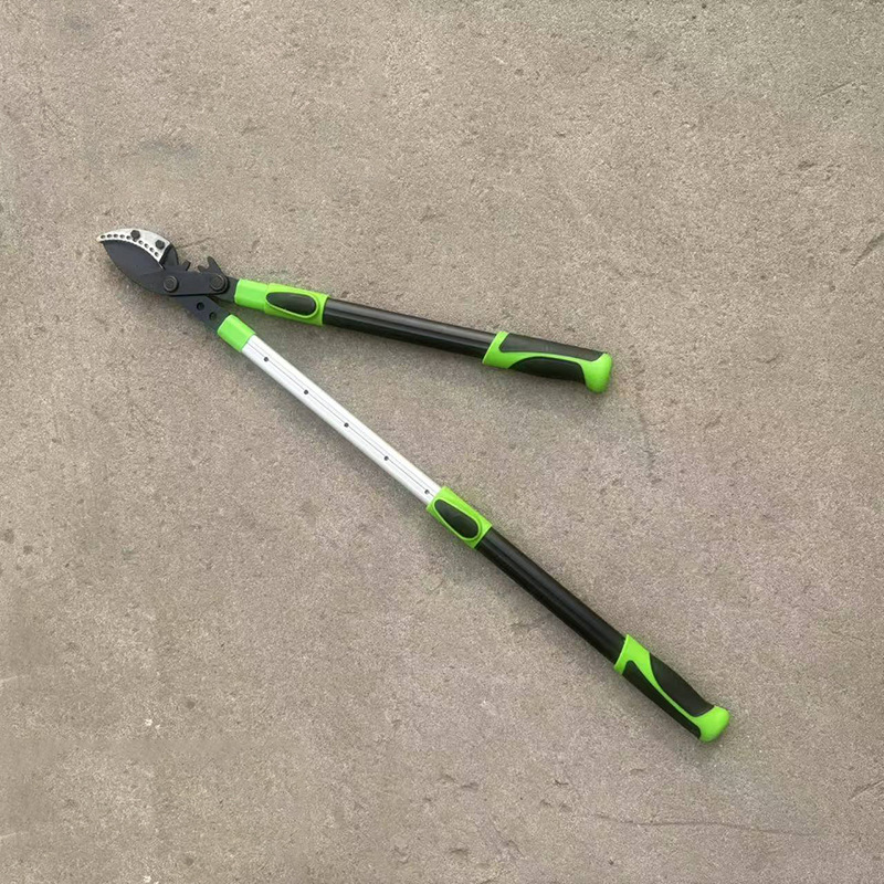 微信图片_20260129143009_569_408.jp