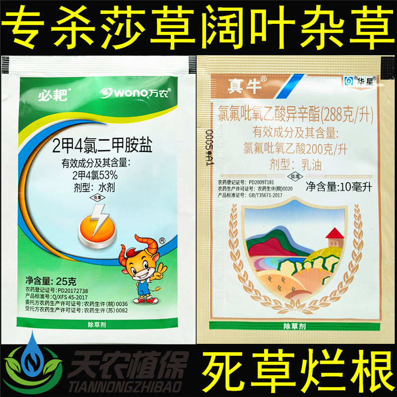 2甲4氯氯氟吡氧乙酸二甲四氯小麦水稻玉米草坪阔叶杂草莎草除草剂