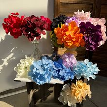 ��֧�����c���滨��@����ٻ��Ƶ��Y���b���·���廨�S��