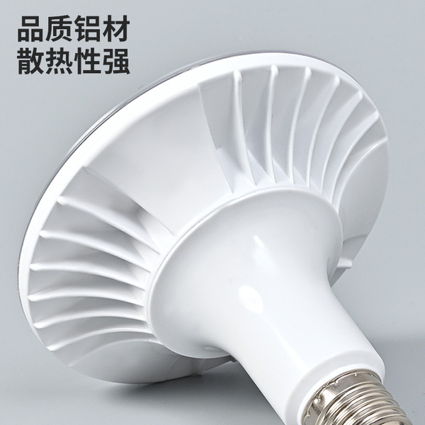 LED fill light