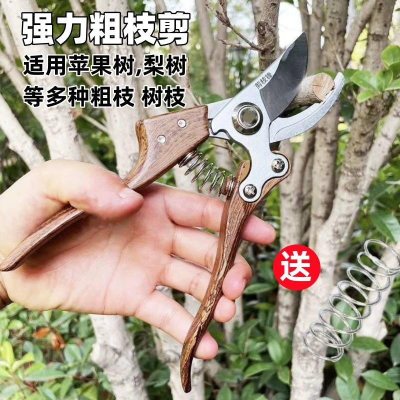 Фруктовое дерево обрезка веток веток специальный цветочный цветок обрезка ветки садовый инструмент обрезка садовых ножниц