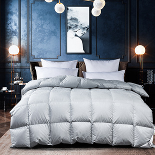 New Duvet High-end Goose Down Quilt Thickened 95 White Goose Down Winter Quilt Hanging Spring and Autumn Quilt