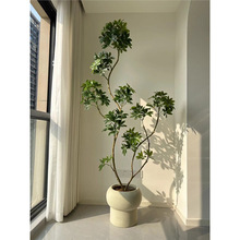 ���_ľ�Gֲ�҃ȷ��������p�ݿ͏d������ؼ�ֲ��