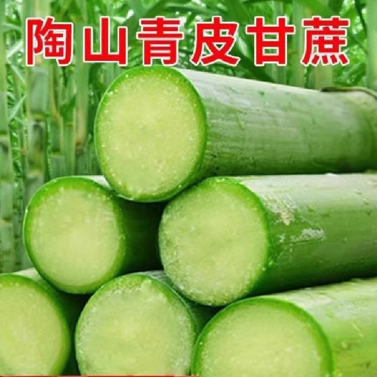 Authentic Taoshan sugarcane Zhejiang Wenzhou green skin fruit sugarcane fresh cut green skin fruit sugarcane 5 jin SF express gift box