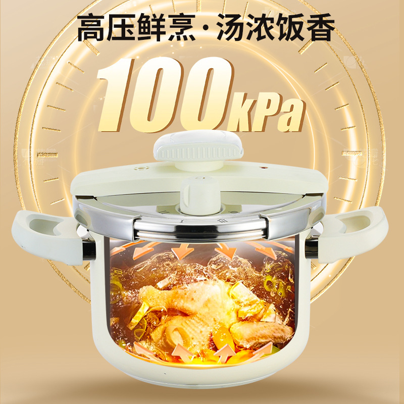 Hotelleria de alta presión doméstica de acero inoxidable 316L, horno electromagnético de gas a prueba de explosiones, pequeña olla a presión