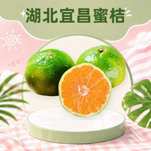 �����˲��۽� һ�����l3/9��70-75mm��������ʳ���r�aƷ���rˮ��