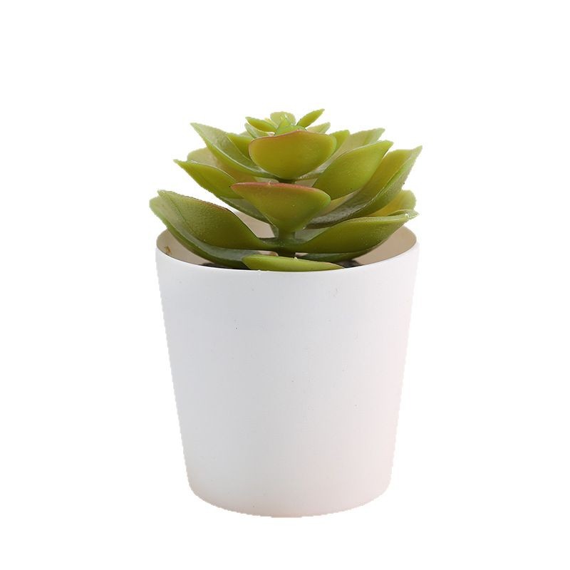 Maceta pequeña de simulación para plantas suculentas, flores falsas de plástico – mini bonsái, estilo de moda. image 6