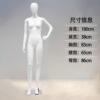 左叉腰踮脚（小胸款）