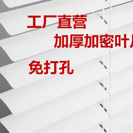 Office Blinds Bathroom Waterproof Bedroom Blackout Aluminum Alloy Pvc Blinds Shandong Wholesale