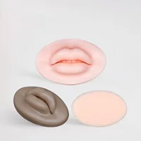 Узор бронхозавра, вышитый 3D стерео силиконовый узор для губ, отбеливание губ, тренировочная кожа для губ для начинающих, легко окрашиваемый твердый модуль, поддельный