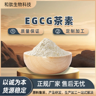EGCG���� ��Ҏ�� ��]ʳ�Ӄ����� �G����ȡ�� ����