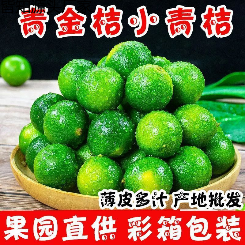 夏季饮品搭档海南小青柠新鲜应季小金桔薄皮非无籽源工厂一件批发