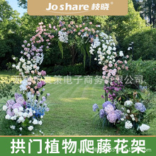 枝晓户外拱门花架爬藤架拱形支架花架子花园园艺月季植物支撑爬架