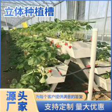 ���w��ݮ������߲˷Nֲ��С�����߲�����Nֲ�۟o������ˮ��