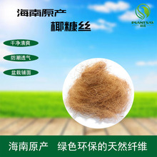 海南原产花店装园艺椰丝铺面天然椰棕丝铺面椰棕丝盆栽精选椰糠丝