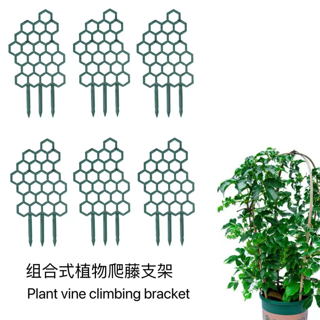 Трансграничные новые растения, восхождение на виноградную лозу, цветочная стойка улей