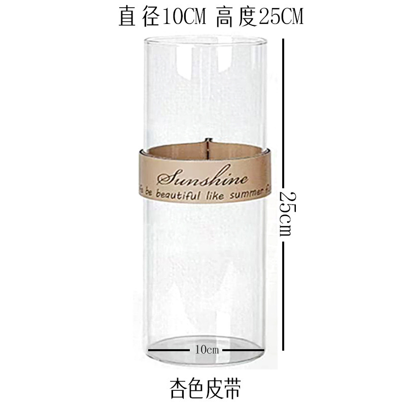 創意皮革手提げガラス生態花瓶杯微景観水培植物花器乾花工芸創意家庭|undefined