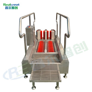 Shandong Manufacturer Directly Supplies 304 Stainless Steel Automatic Sensor Shoe Washing Machine for Food Factory, Sole and Upper Cleaning Machine
