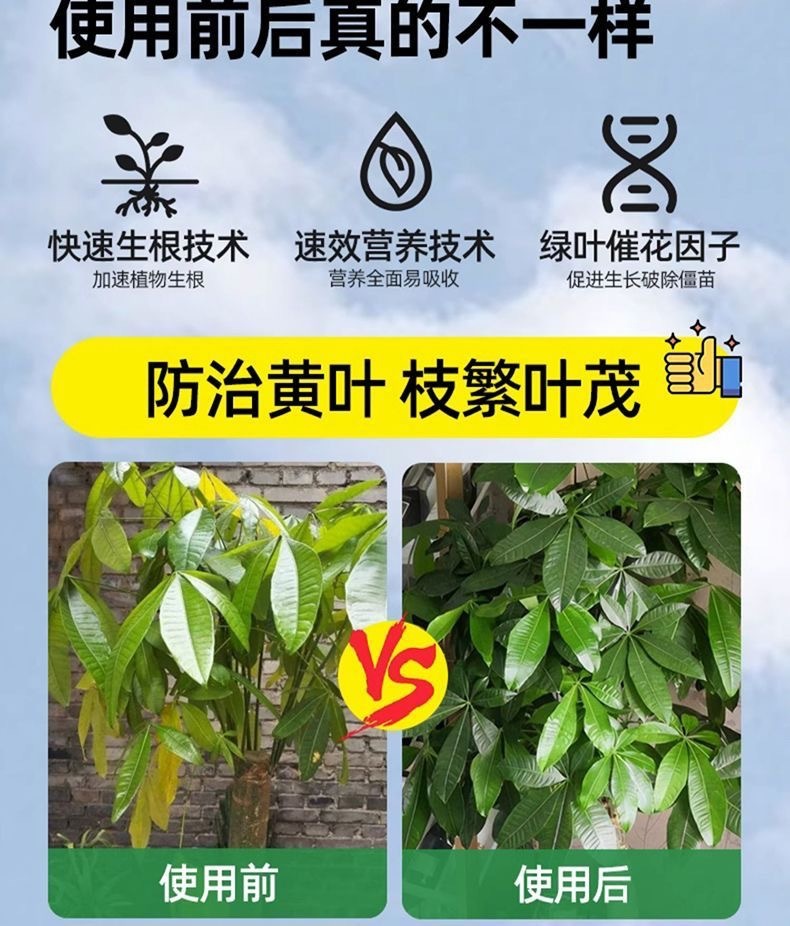 fa6b5bc2-0566-44a4-83df-30c1a5452bf4.jpe