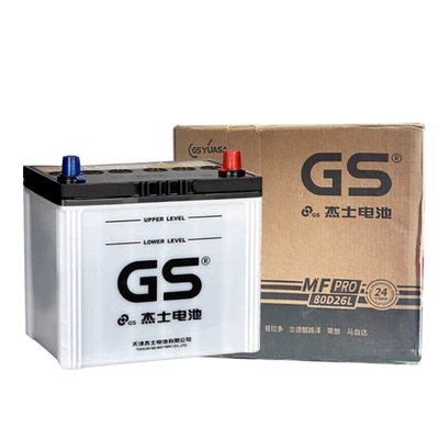 Gs Jieshi Unified Car battery/battery
