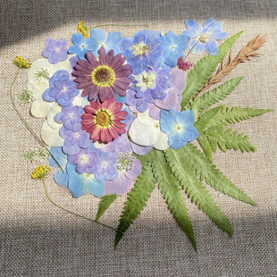 ����ֲ��˱��ɻ�diy���ϵ��z���|��������򻨲ݘ��~�N���Ʒ