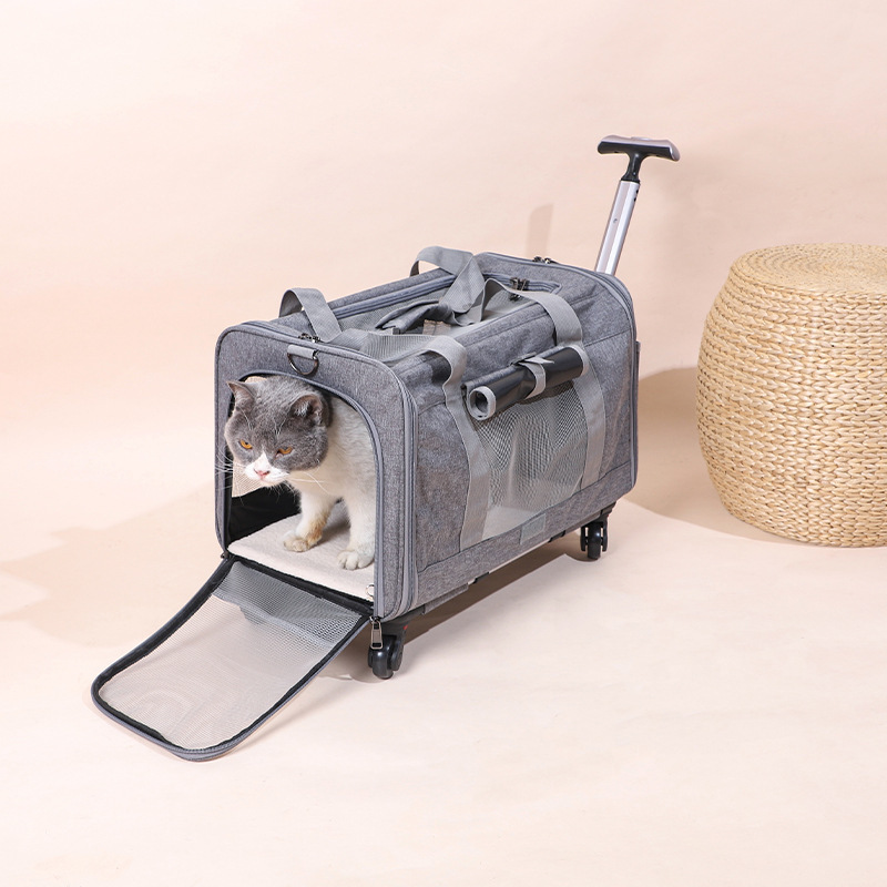 Transportín para gatos, carrito para mascotas para exteriores, jaula plegable y transpirable para mascotas, caja de transporte tipo bandolera para perros