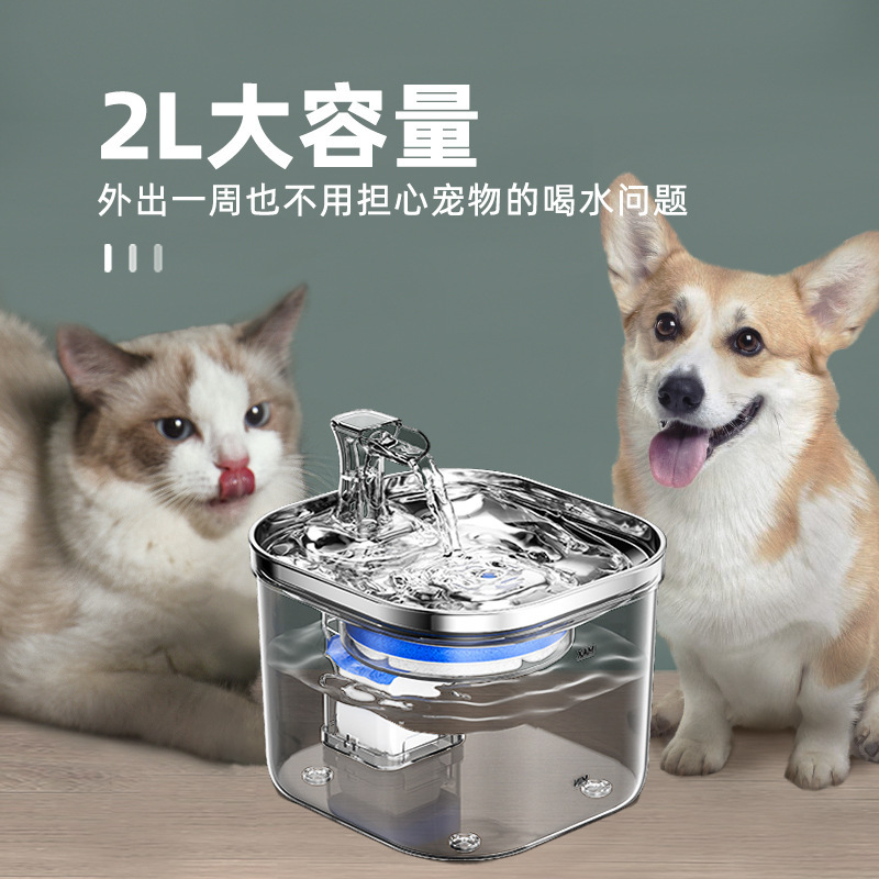 Mascotas beber agua 304 filtro de circulación de acero inoxidable gato perro alimentador de agua de gran capacidad ventas transfronterizas calientes nuevo