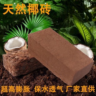 Coconut Brick Nutrient Soil Flowers and Fleshy Green Plant Special Vegetable Factory Direct Type Coconut Bran Desalted Coconut Soil General Purpose