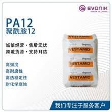 PA12-GF50 赢创 VESTAMID L L-GF50 耐燃油性液压离合器管油管