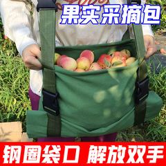 果樹園の果物を摘み取って果物の神器を採取します。
