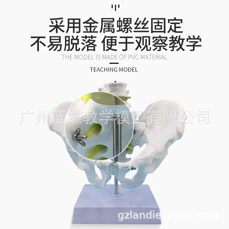 ��Ȼ�����Թ����������׵��ģ�� ���� ��׵β׵ģ�� ��׵ģ��