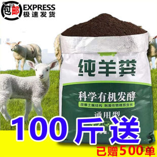 100��l�ͼ���S�ЙC�����߲ˌ��÷��ϷN�����Թ���0.5���u�S����