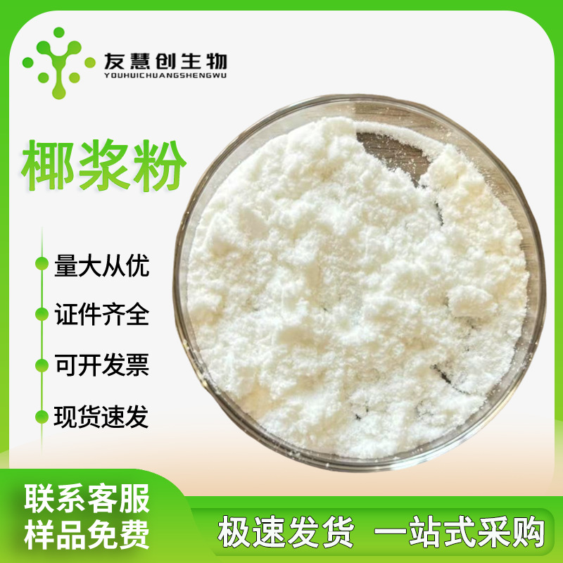 批发椰浆粉 烘焙原料 高浓度纯椰 椰香浓郁粉批发零售 厂家直供