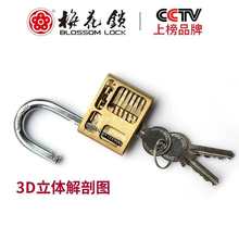 批发梅花纯铜挂锁通开防水防锈防盗加固小锁头仓库大铁门腰圆抽屉