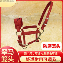 �R�\�^�K�Ӡ��R�{�̻\�^ȫ�׾����С���R���^���Ӿ��T�R�g��Ʒ̝