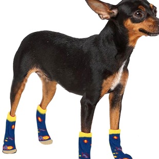 С��Ȯ�ذ�����m  ̩�ϱ���ѩ�{��С¹Ȯ������Ͳ���m����Ȯ�o��