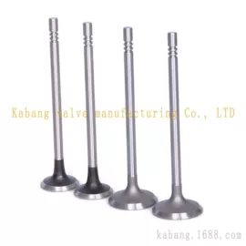 气门及部件;气门部件;油封